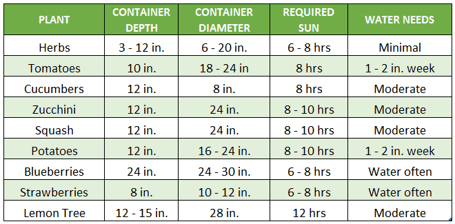 Plant container size guide