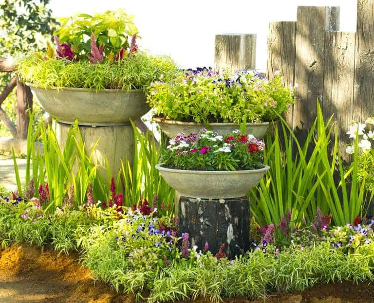 Um jardim de vasos de flores pode diferenciar sua casa.