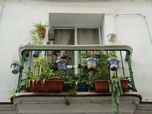 Apartment gardening can often expand onto a balcony.