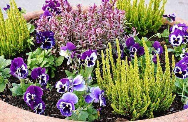 You can create a flower garden design using a container.