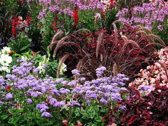 Use form and texture in flower garden design.