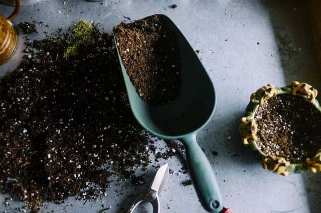 Utilisez un bon terreau pour votre jardin d'herbes aromatiques.