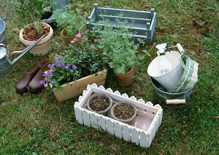 Choosing the right plants for container gardening