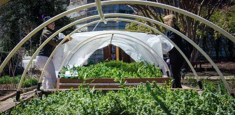 Hoop house na nakataas na kama