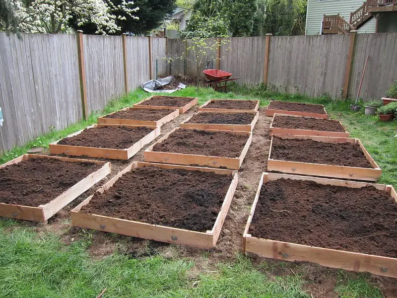 Basic square garden bed