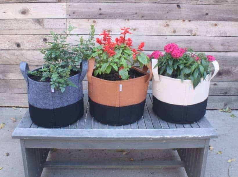 Fabric grow bags with plants