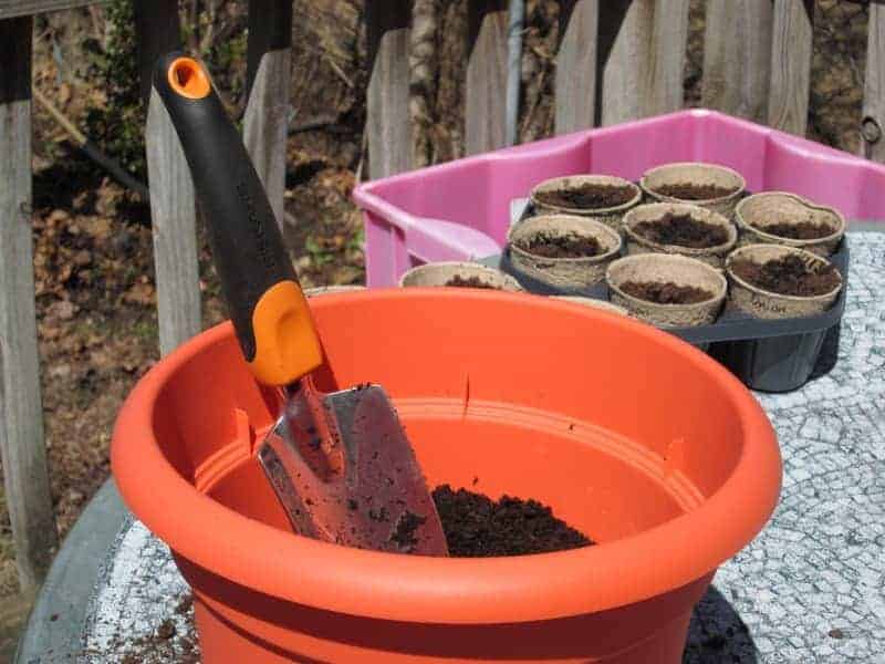 Elegir las plantas adecuadas para la jardinería en macetas.