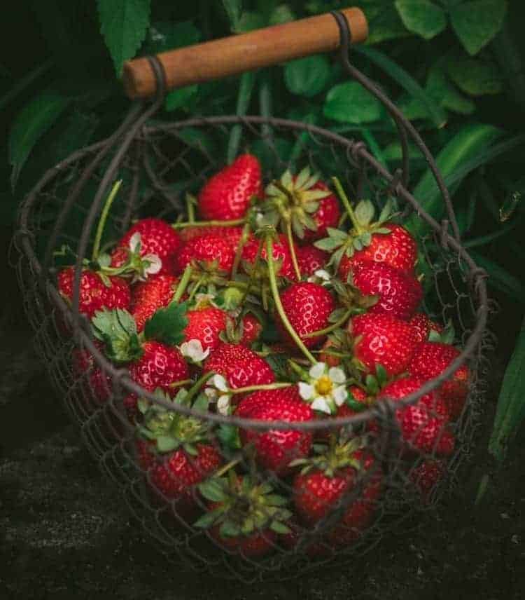 Aardbeien in een mand